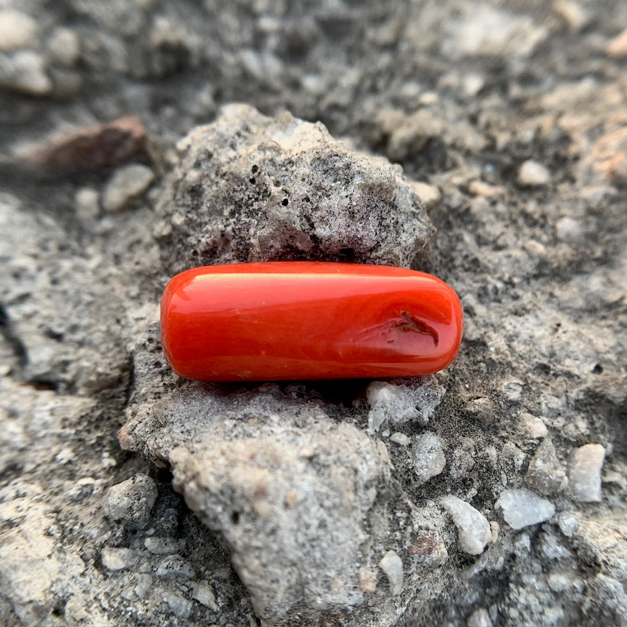 Natural Red Coral - 8.70 Carat/9.66 Ratti