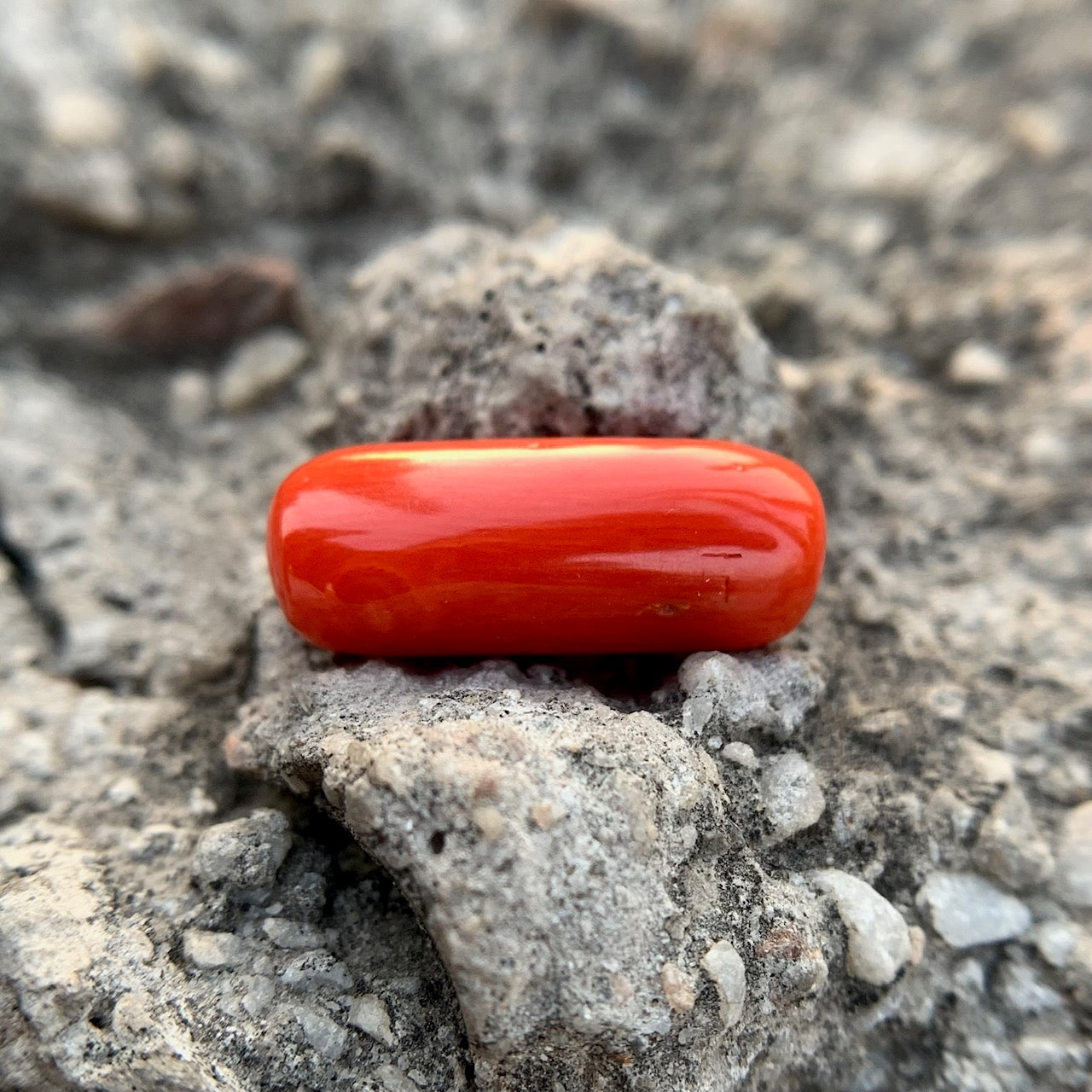 Natural Red Coral - 8.40 Carat/9.32 Ratti