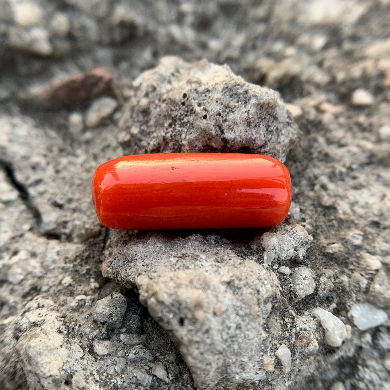 Natural Red Coral - 8.40 Carat/9.32 Ratti