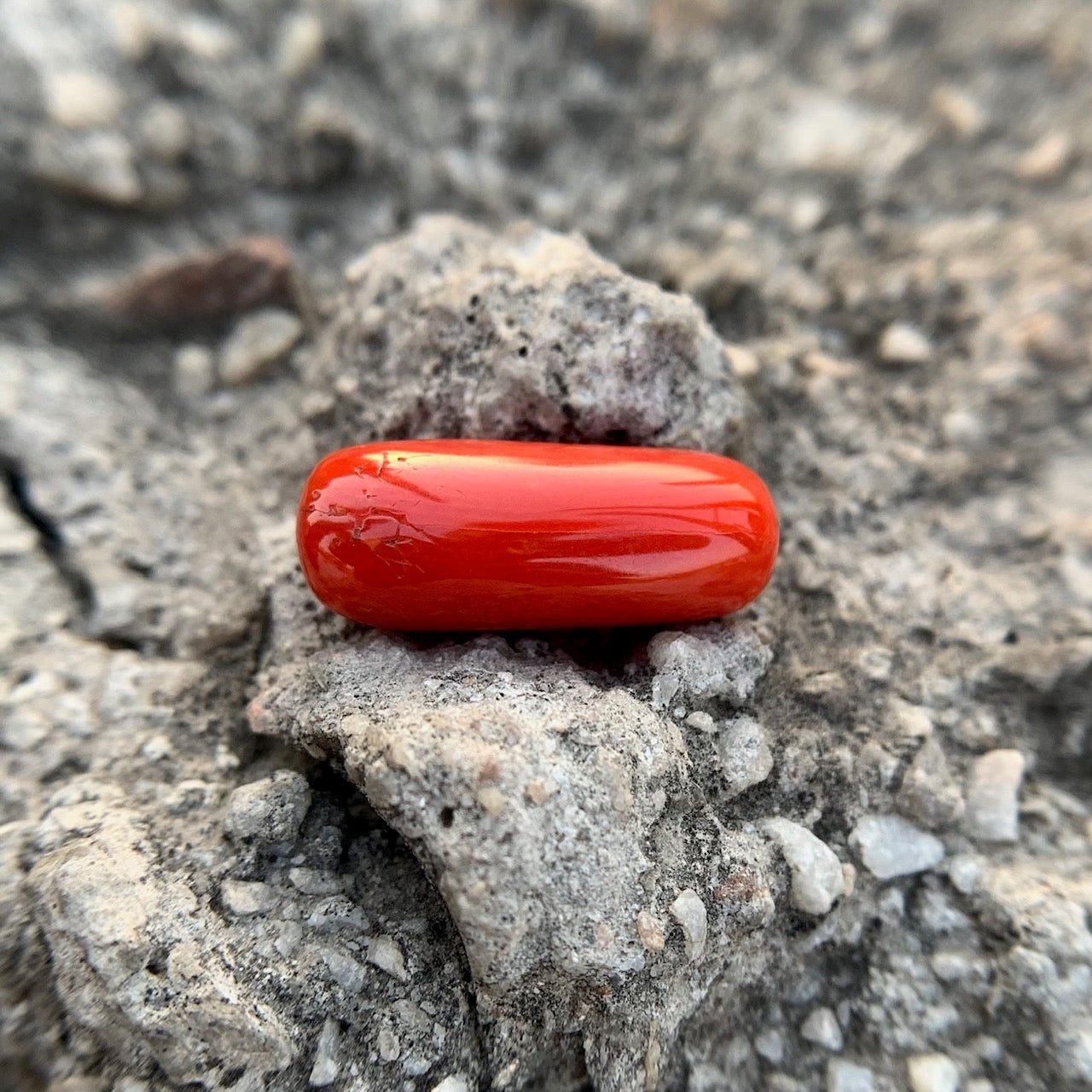 Natural Red Coral - 8.80 Carat/9.76 Ratti