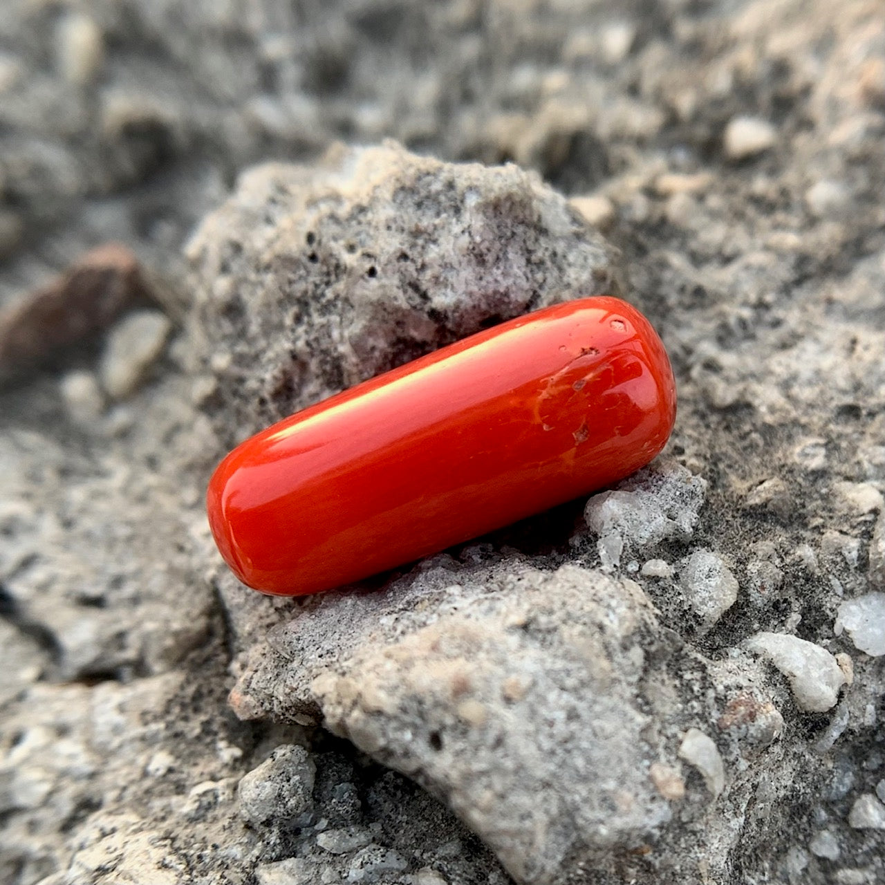 Natural Red Coral - 8.80 Carat/9.76 Ratti