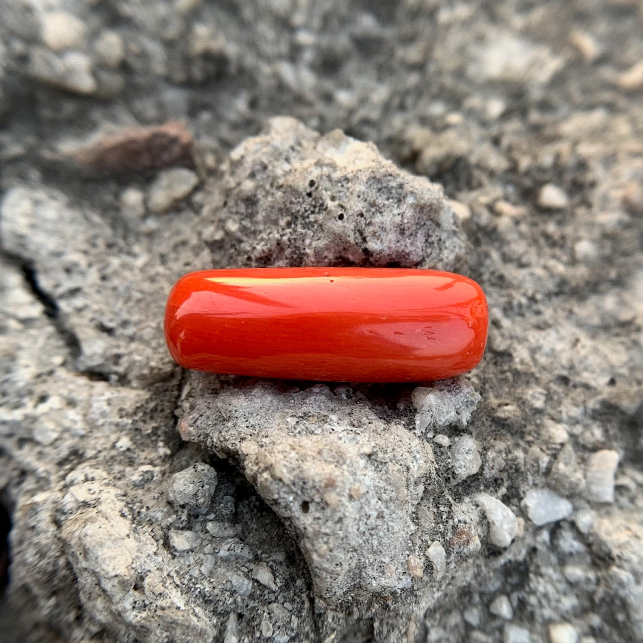 Natural Red Coral - 9.35 Carat/10.38 Ratti