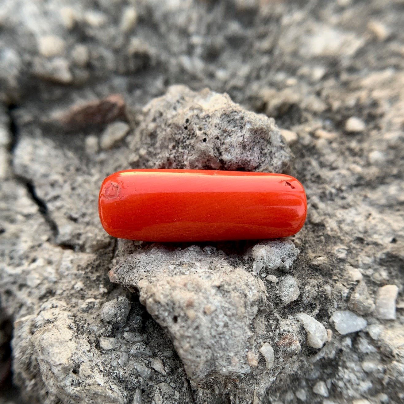 Natural Red Coral - 9.35 Carat/10.38 Ratti
