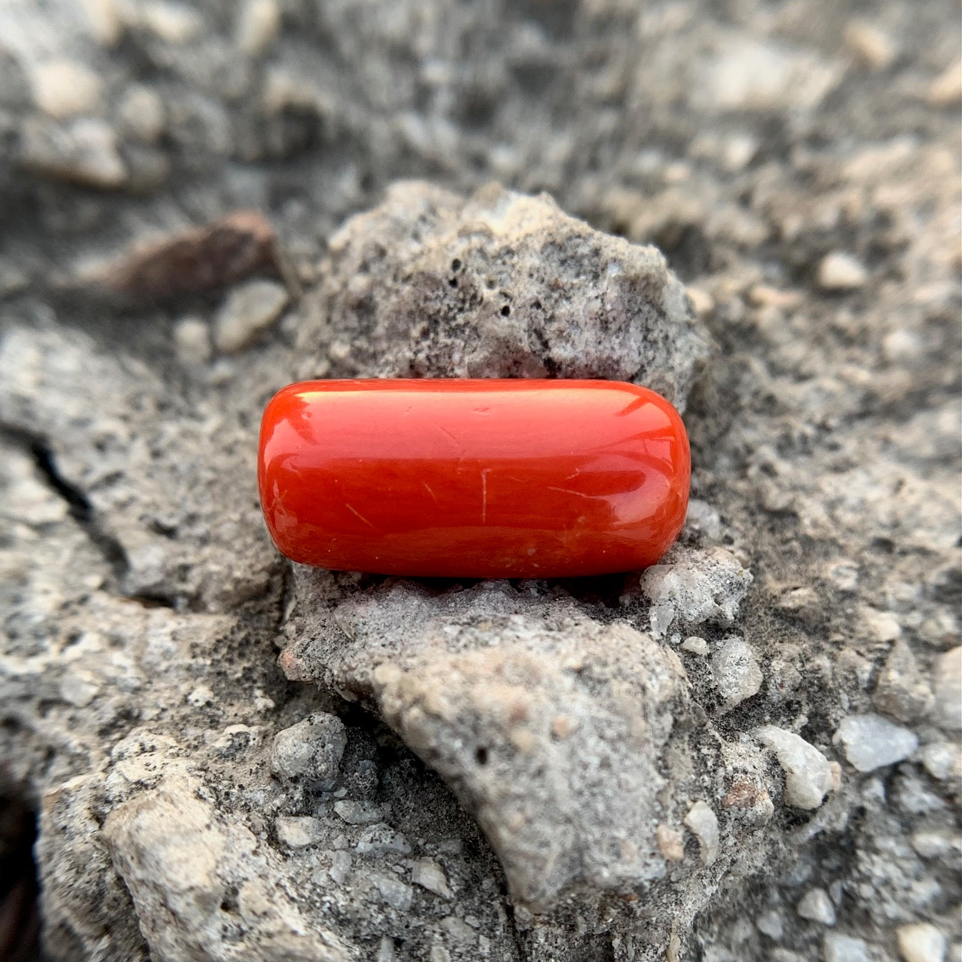 Natural Red Coral - 9.50 Carat/10.55 Ratti