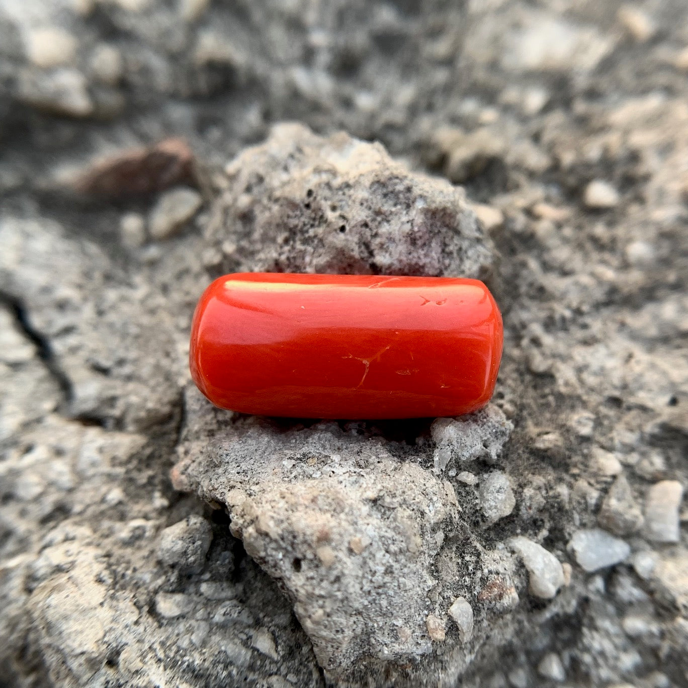Natural Red Coral - 9.50 Carat/10.55 Ratti