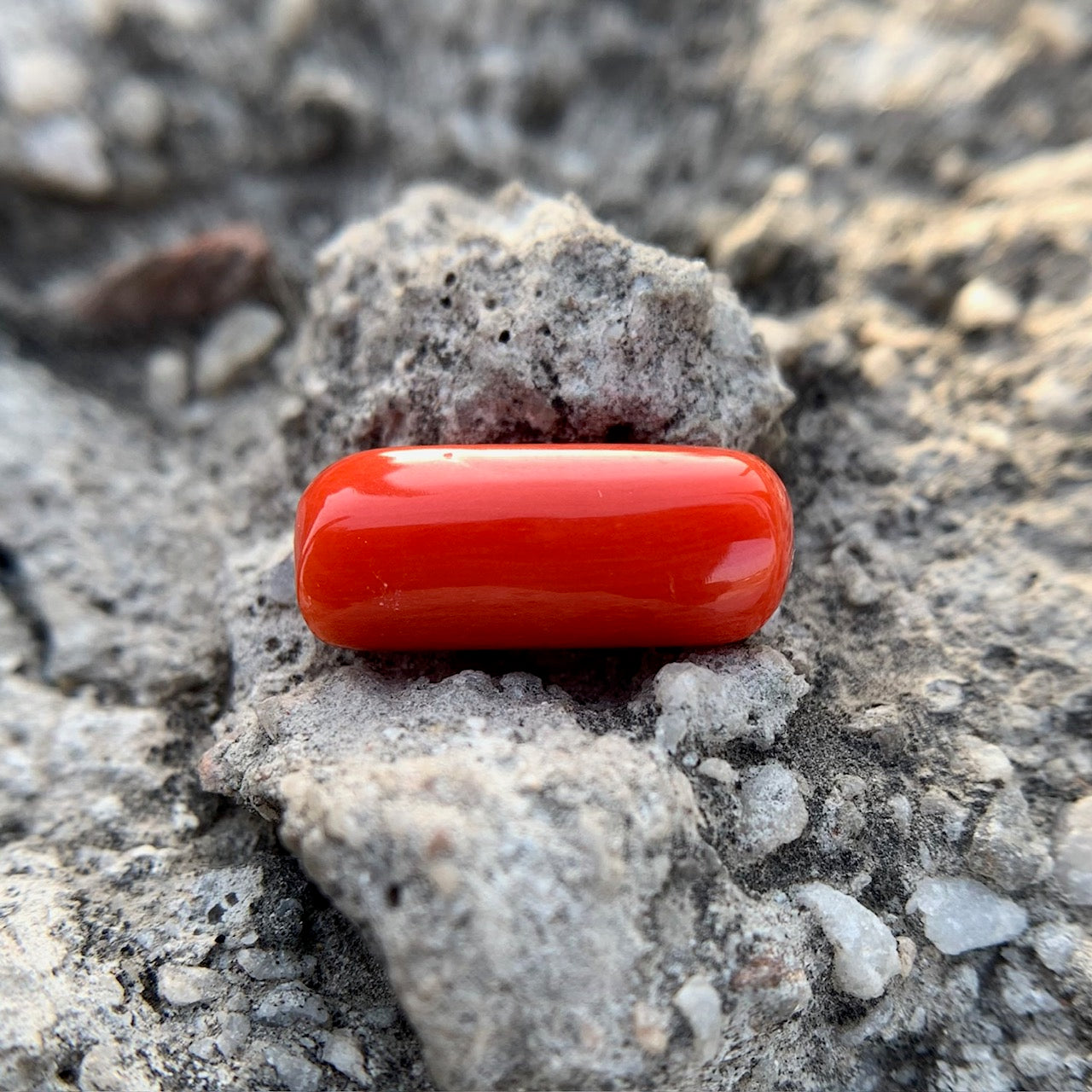 Natural Red Coral - 6.00 Carat/6.66 Ratti