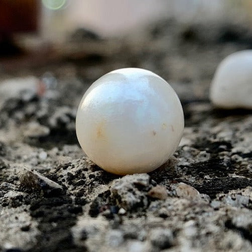 لؤلؤة بحر الجنوب - 11.85 قيراط/13.15 راتي