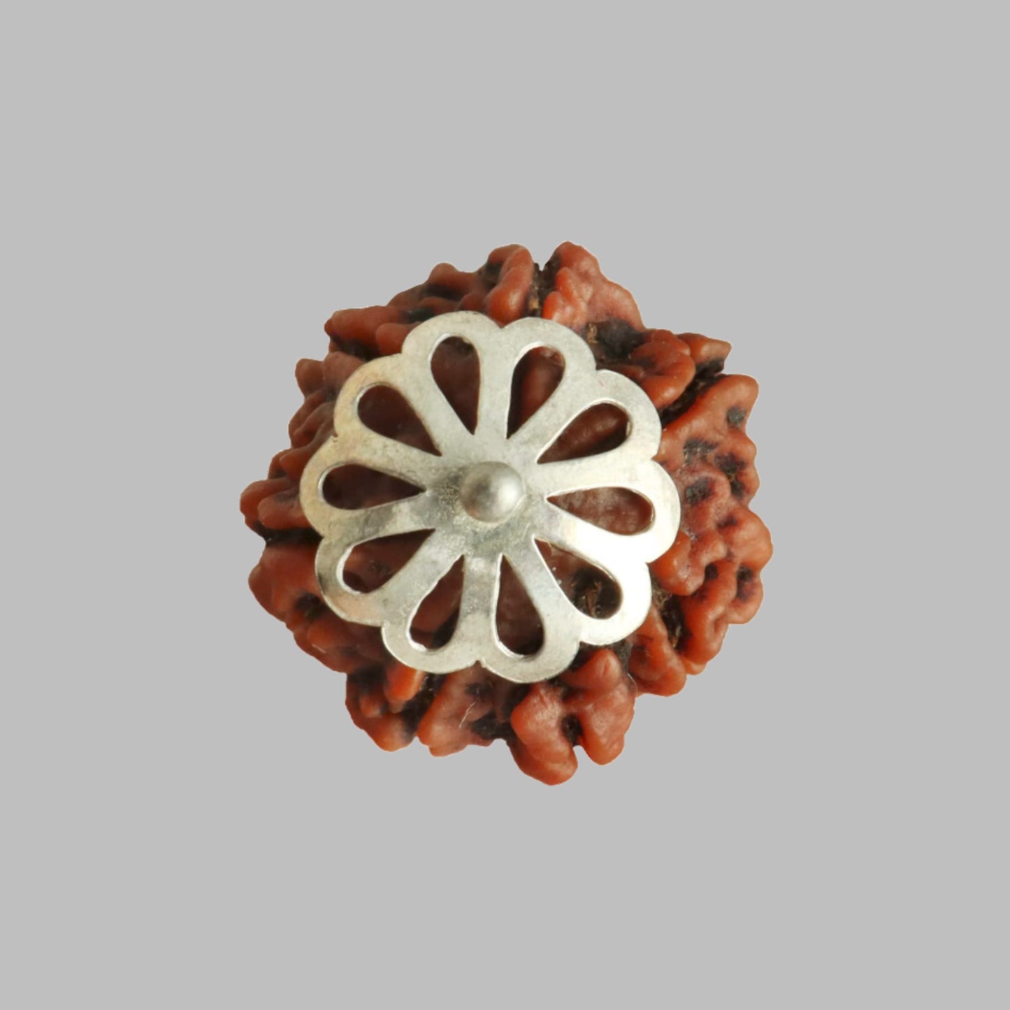 Rudraksha Silberanhänger - 7 Gesichter
