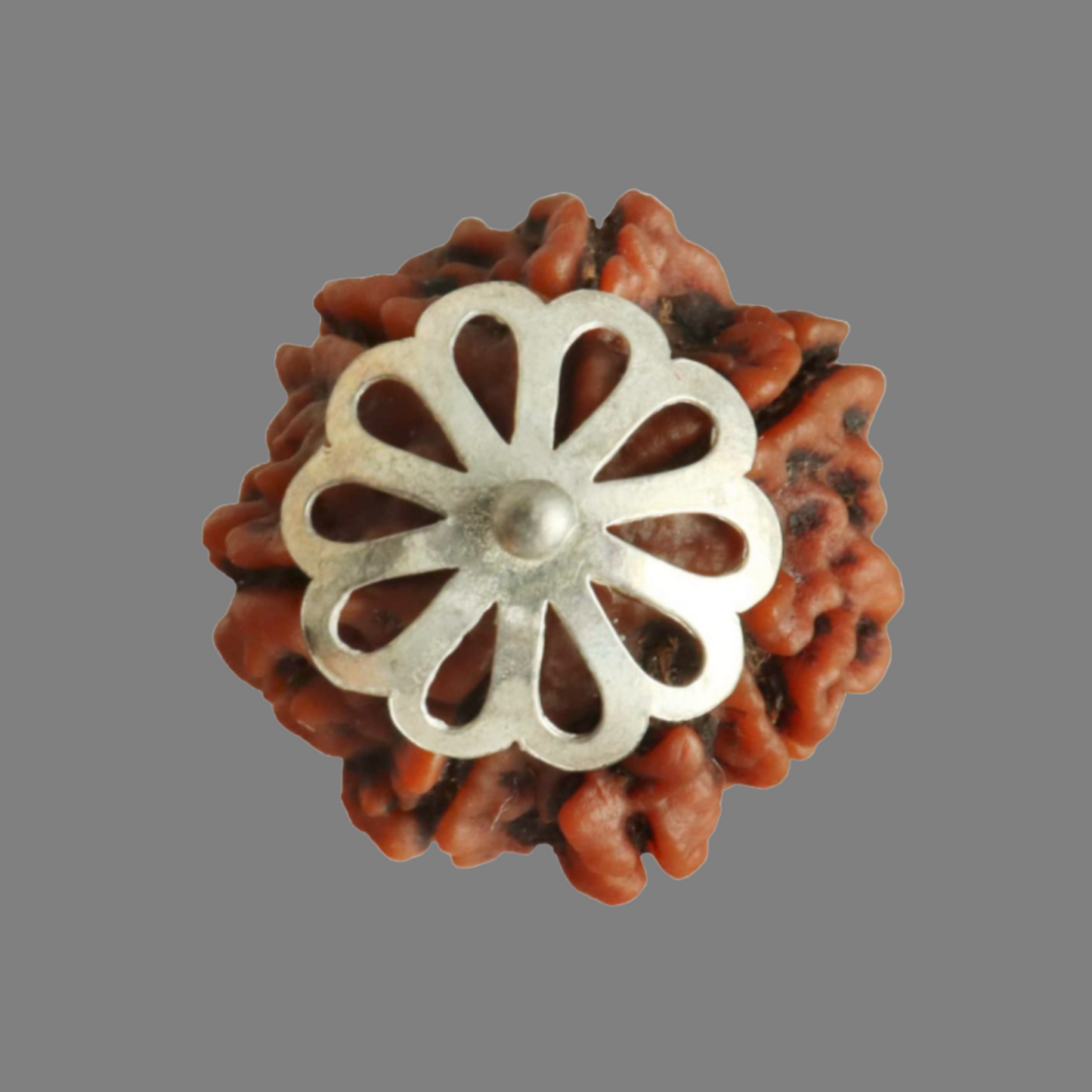 Rudraksha Silberanhänger - 7 Gesichter