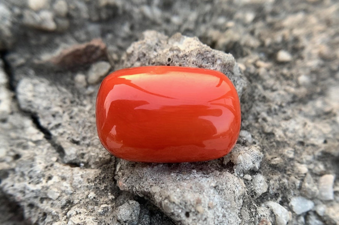 red coral capsule shape Japanese coral moonga Italian coral munga stone for astrology purposes best quality original munga stone