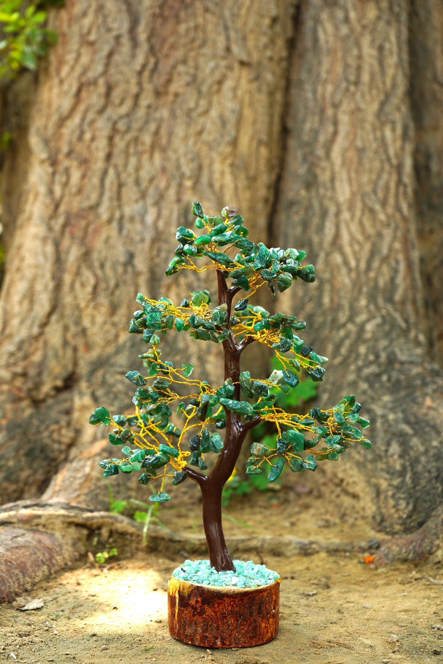 Natural Jade Tree