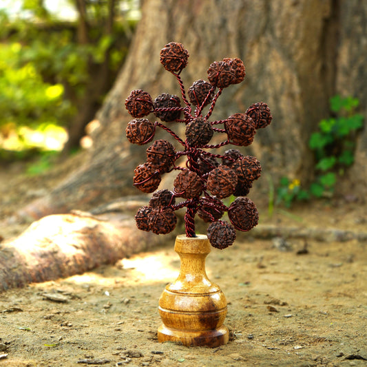 5 Face/Mukhi Rudraksha Tree