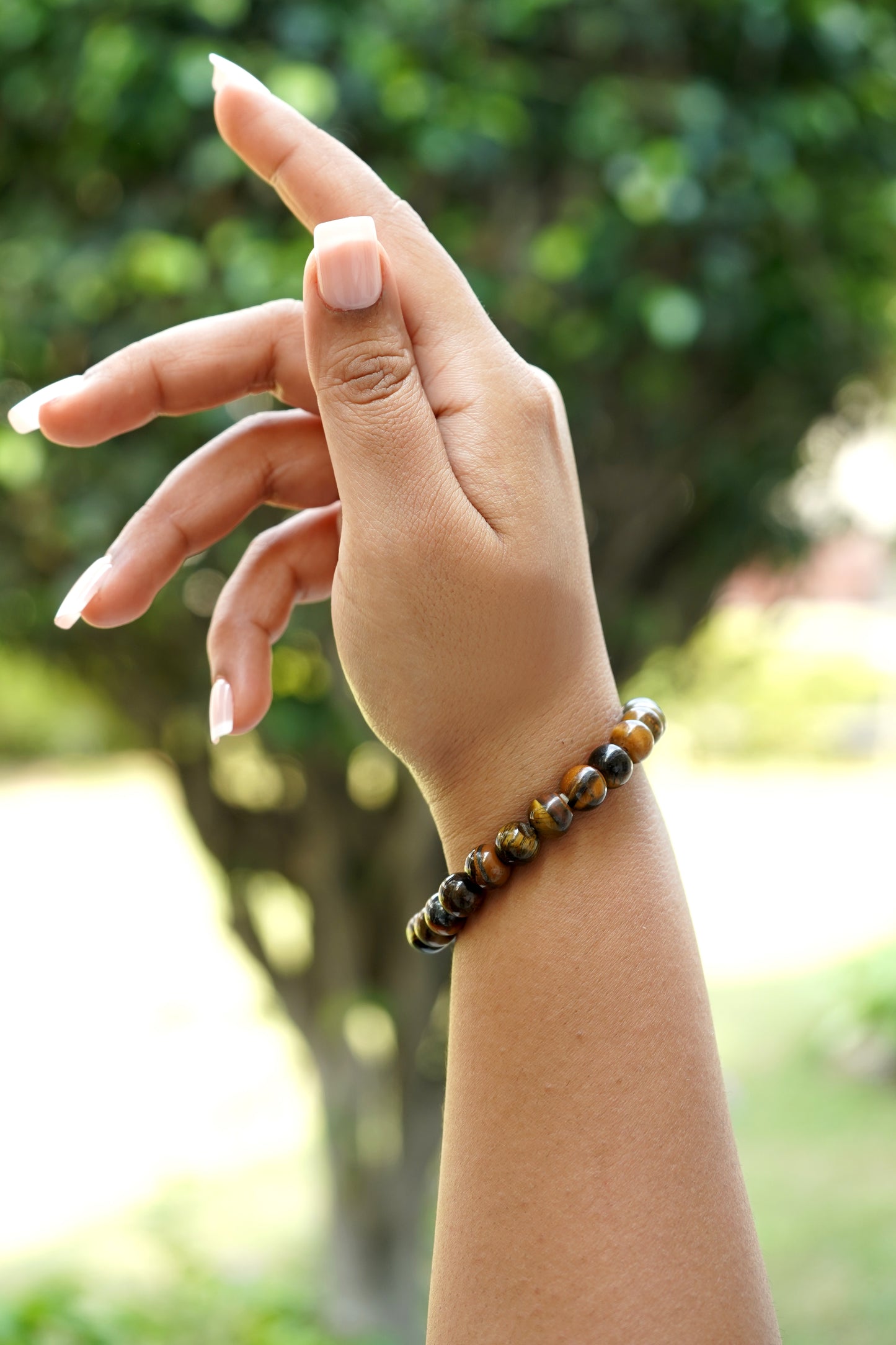 Tiger eye Bracelet