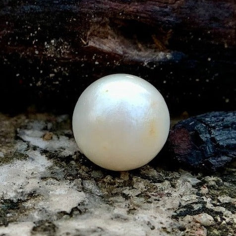 South Sea Pearl - 11.85 Carats/13.15 Ratti