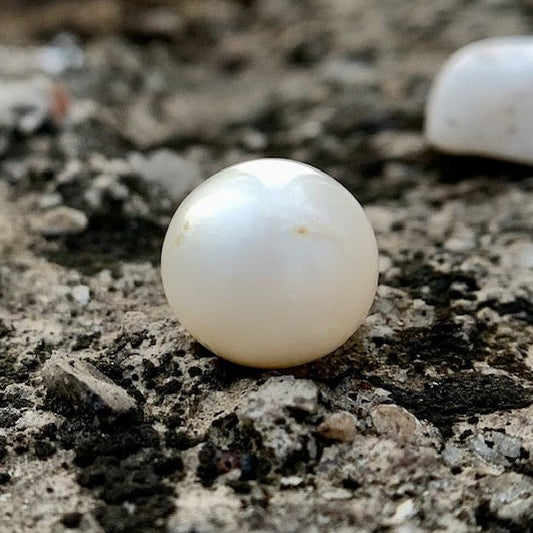 South Sea Pearl - 10.55 Carats/11.69 Ratti