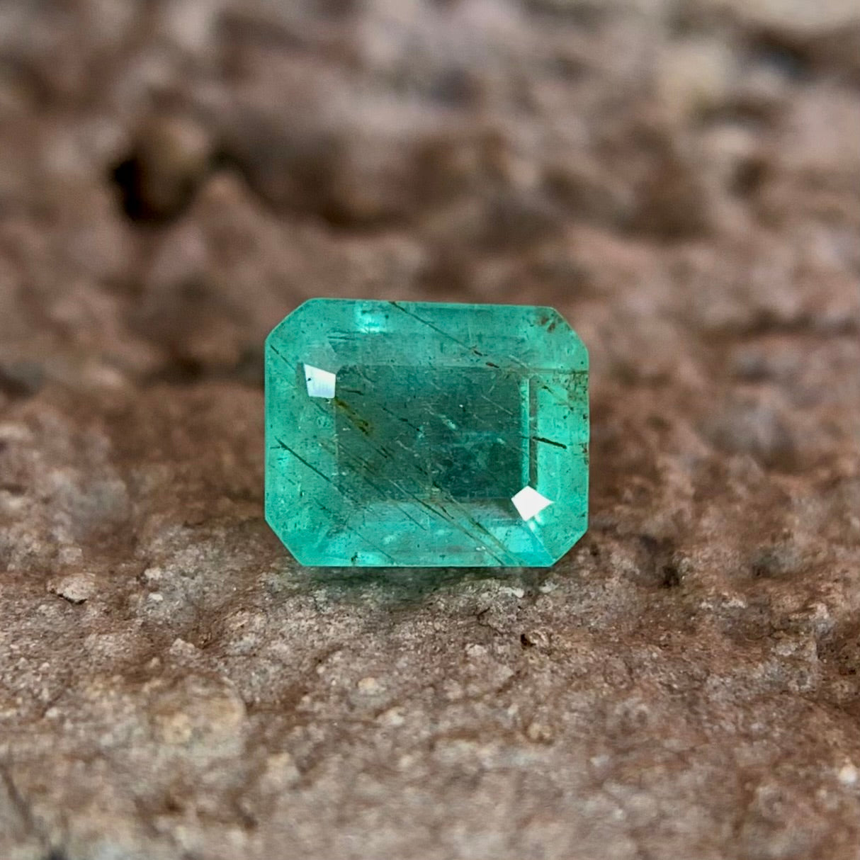 Natural Emerald - 0.95 Carat