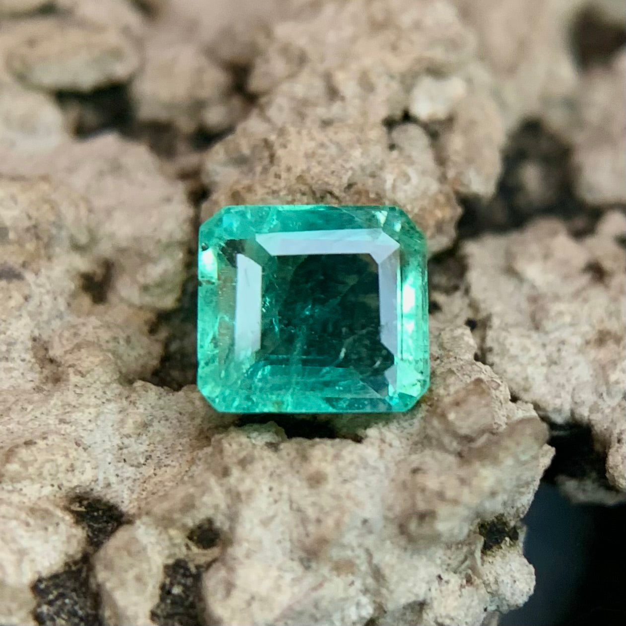 Natural Emerald - 0.70 Carat