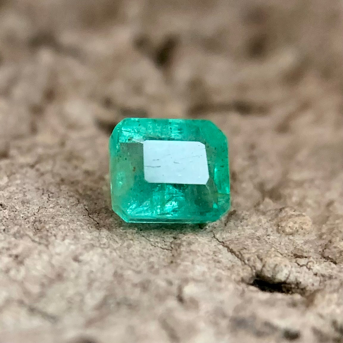 Natural Emerald - 0.60 Carat