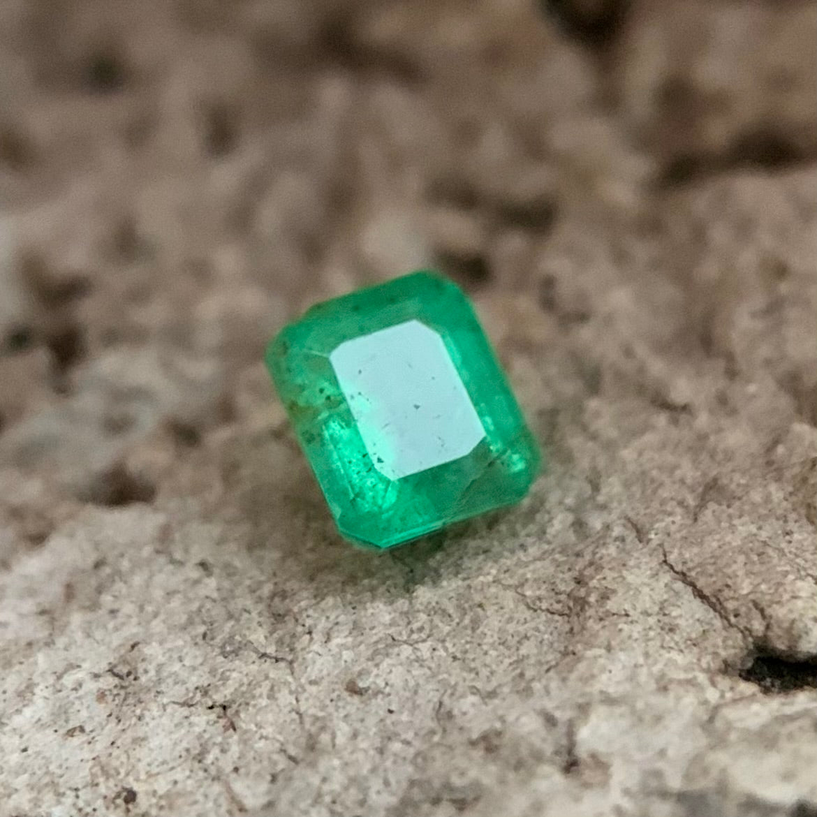 Natural Emerald - 0.40 Carat