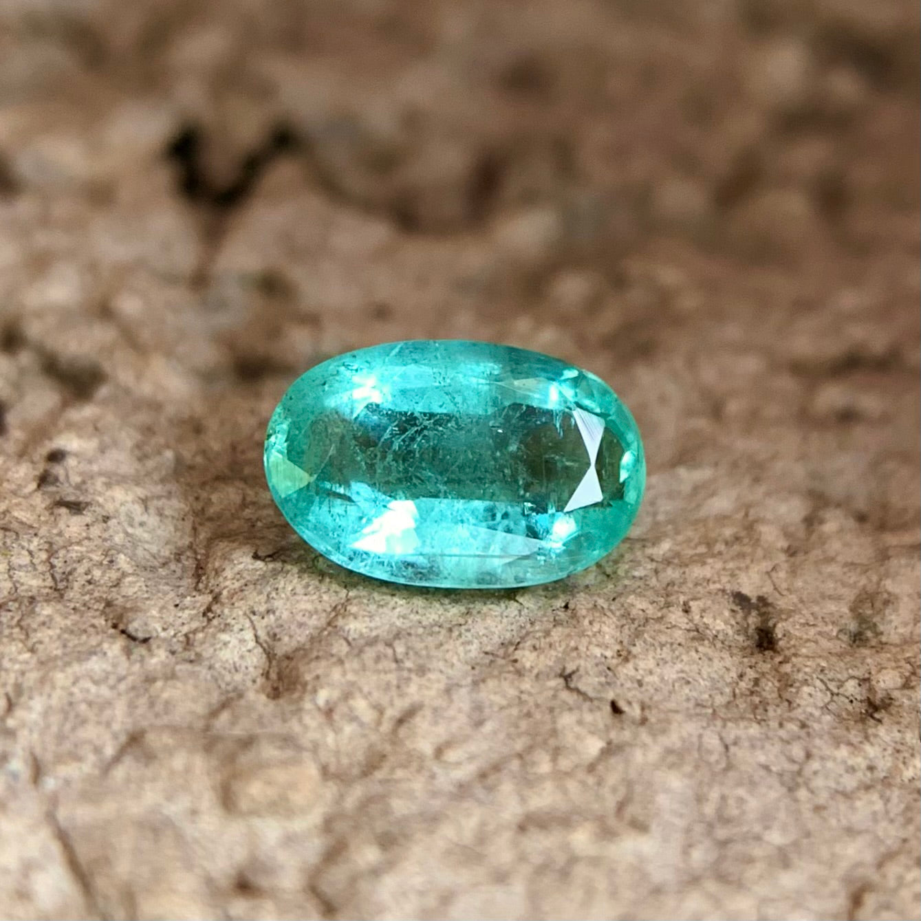 Natural Emerald - 0.55 Carat