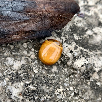 حجر عين النمر الطبيعي - 9.35 قيراط