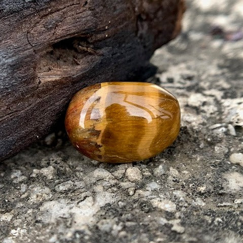 Natural Tiger's eye Stone - 10.00 Carat