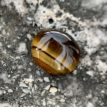 Natural Tiger's eye Stone - 13.75 Carat