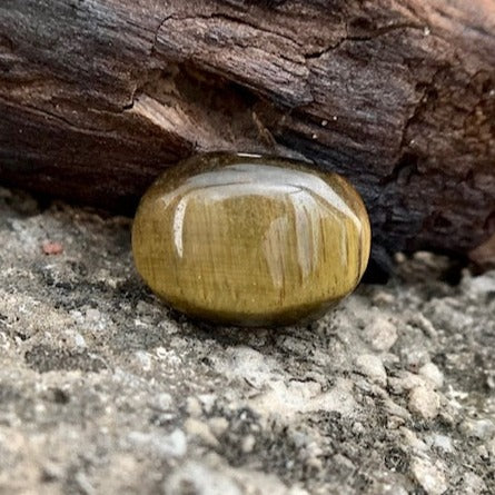 Natural Tiger's eye Stone - 11.10 Carat