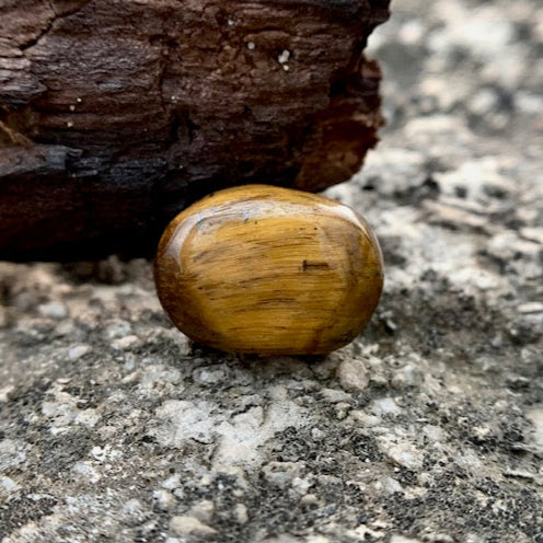 Natural Tiger's eye Stone - 10.50 Carat/11.65 Ratti