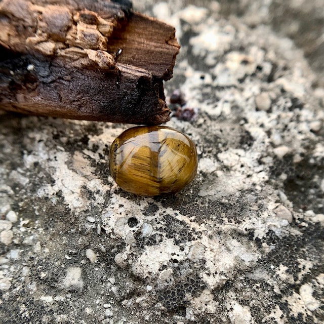 Natural Tiger's eye Stone - 11.10 Carat/12.32 Ratti