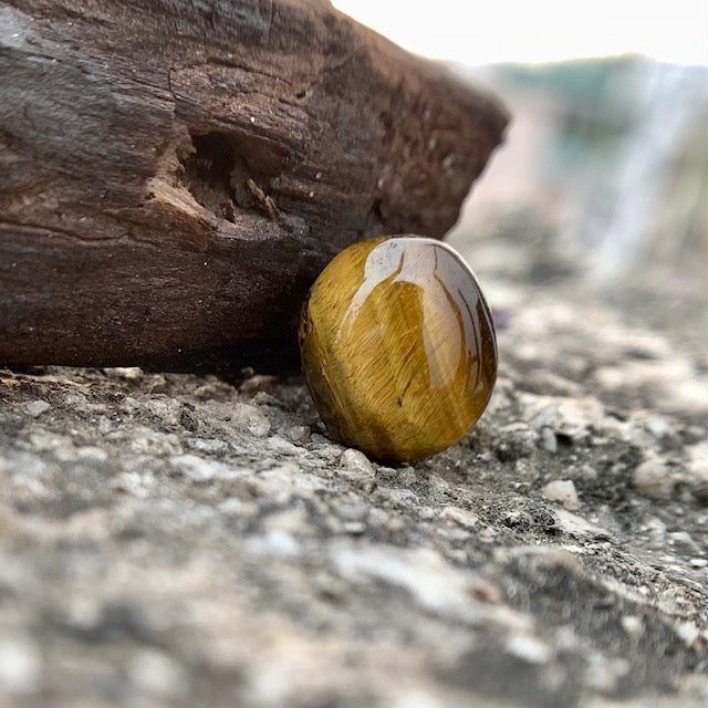 Natural Tiger's eye Stone - 8.50 Carat/9.43 Ratti