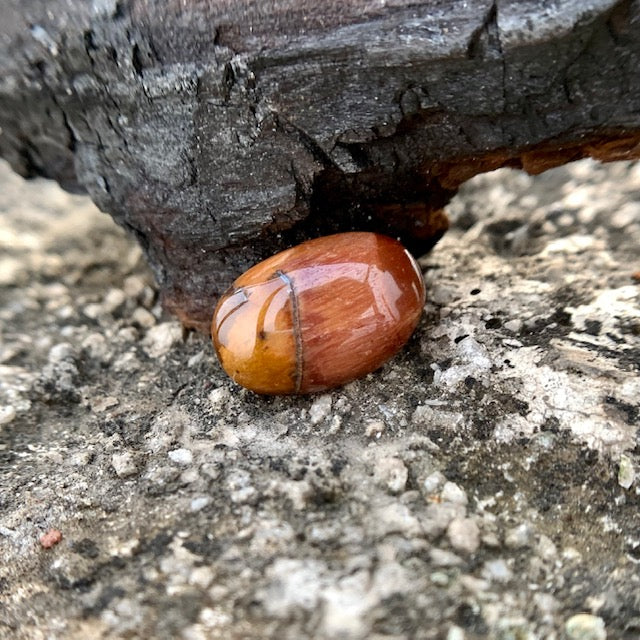 Natural Tiger's eye Stone - 8.85 Carat/9.82 Ratti