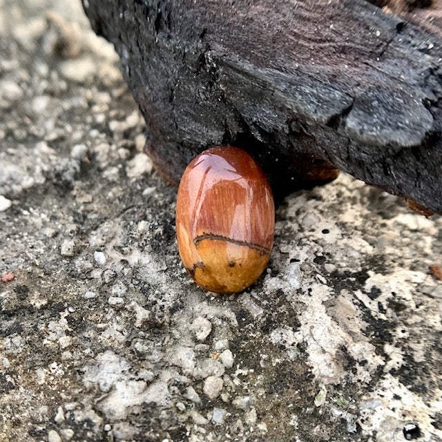 Natural Tiger's eye Stone - 8.85 Carat/9.82 Ratti