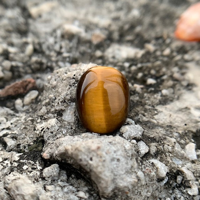 Natural Tiger's eye Stone - 8.00 Carat/8.88 Ratti