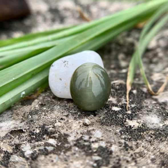 Natural Catseye stone - 4.00 Carat