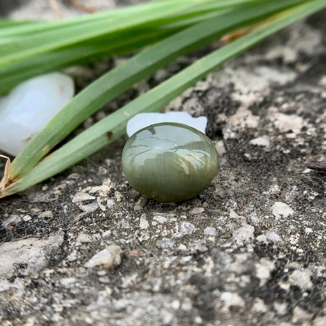 Natural Catseye stone - 4.00 Carat