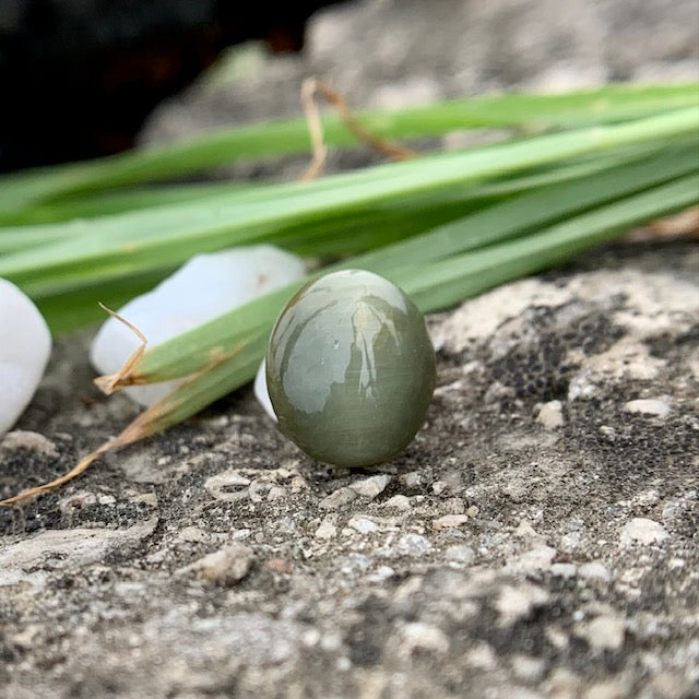 Natural Catseye stone - 4.00 Carat