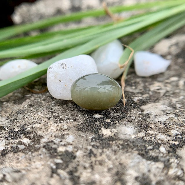 Natural Catseye stone - 5.40 Carat/6.00 Ratti