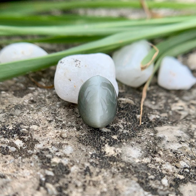 Natural Catseye stone - 3.85 Carat