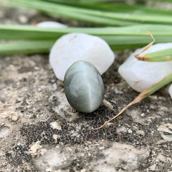 Natural Catseye stone - 3.85 Carat