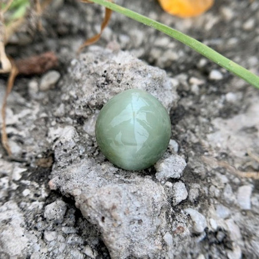 Natural Catseye stone - 6.45 Carat