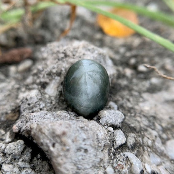 Natural Catseye stone - 5.55 Carat