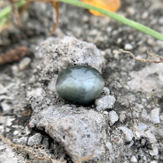 Natural Catseye stone - 5.55 Carat