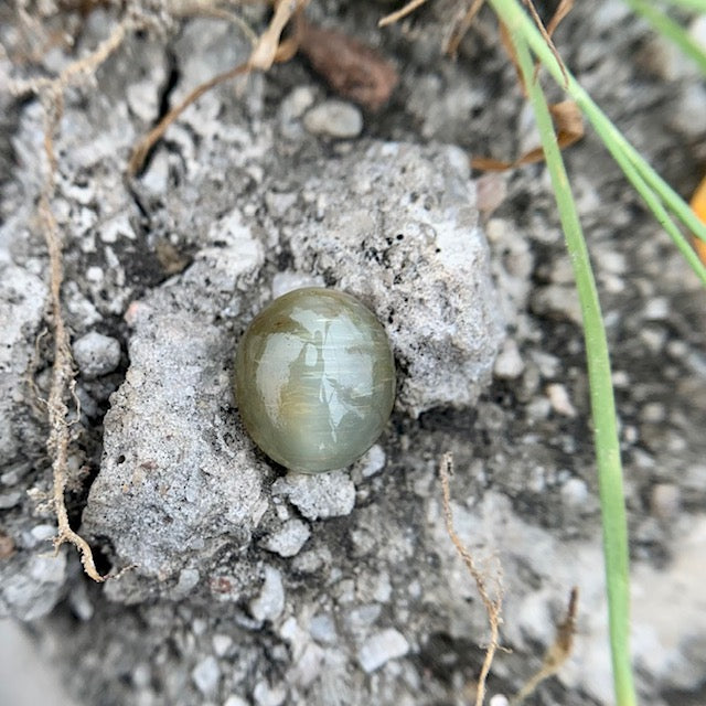 Natural Catseye stone - 6.25 Carat