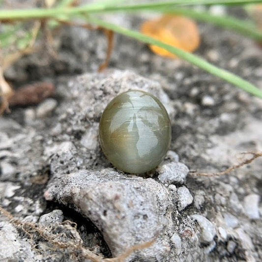 Natural Catseye stone - 6.25 Carat