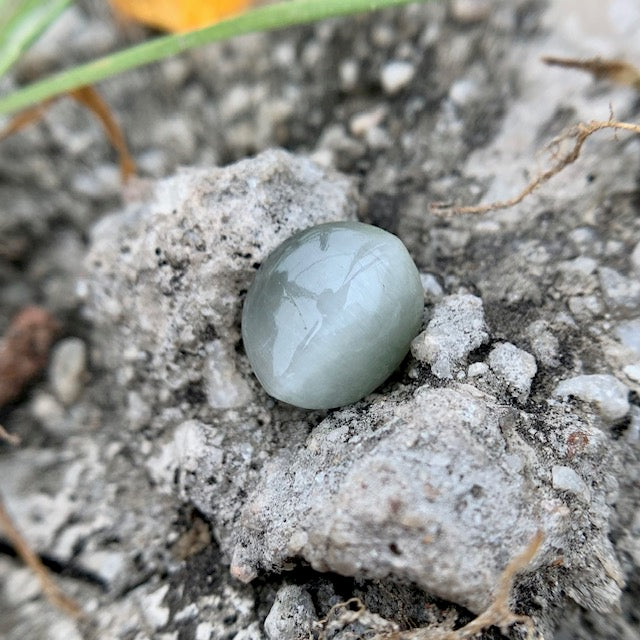 Natural Catseye stone - 4.40 Carat