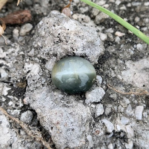 Natural Catseye stone - 4.65 Carat