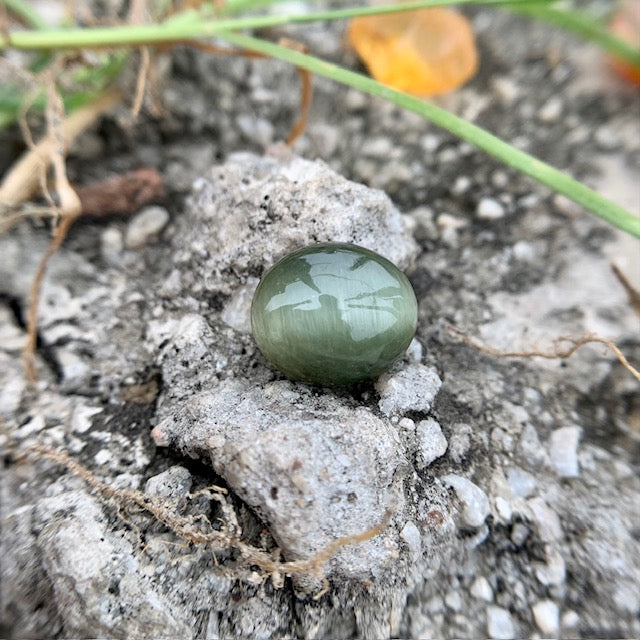 Natural Catseye stone - 6.25 Carat