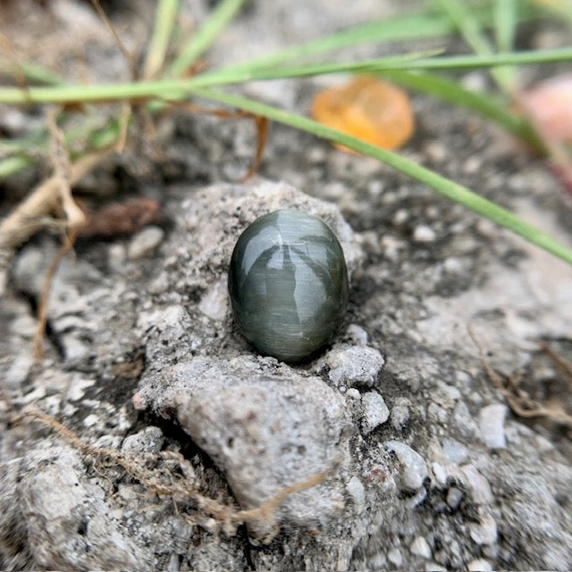 Natural Catseye stone - 4.30 Carat