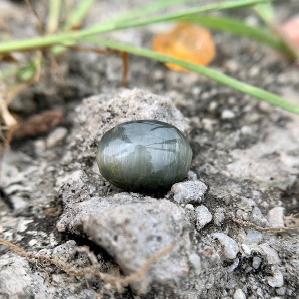 Natural Catseye stone - 4.30 Carat